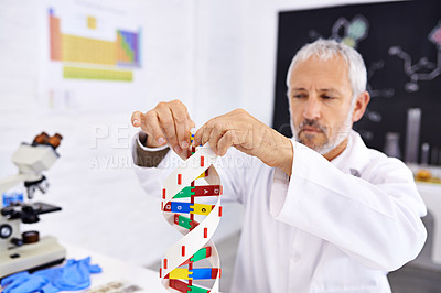 Buy stock photo Mature man, scientist and DNA model in lab, thinking or test for biohacking research at pharmaceutical company. Person, molecule and study for human genome with review, idea or particles in Germany