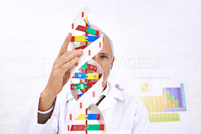 Buy stock photo Man, scientist and DNA model in lab, portrait and study for biohacking research at pharmaceutical company. Mature person, molecule and particles for human genome with development of drugs in Germany