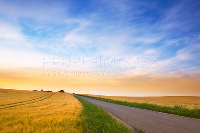 Buy stock photo A photo of a vibrant country field in harvest