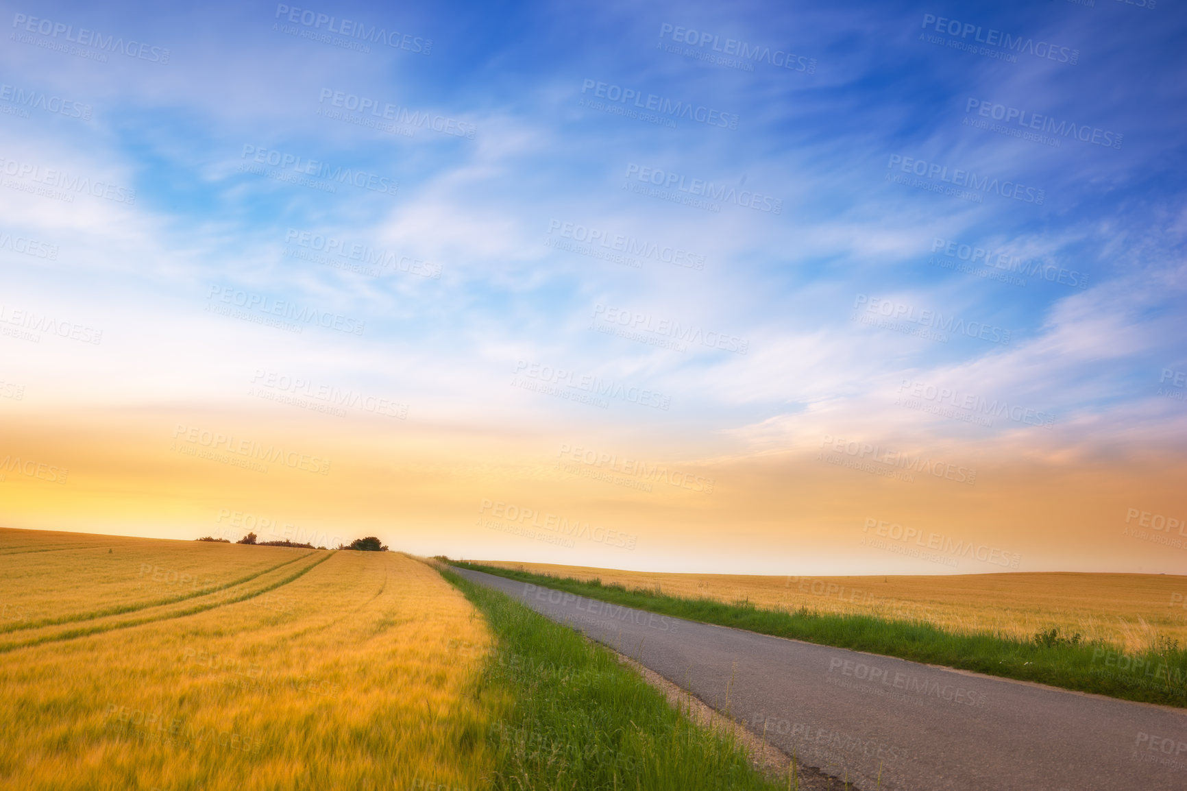 Buy stock photo A photo of a vibrant country field in harvest