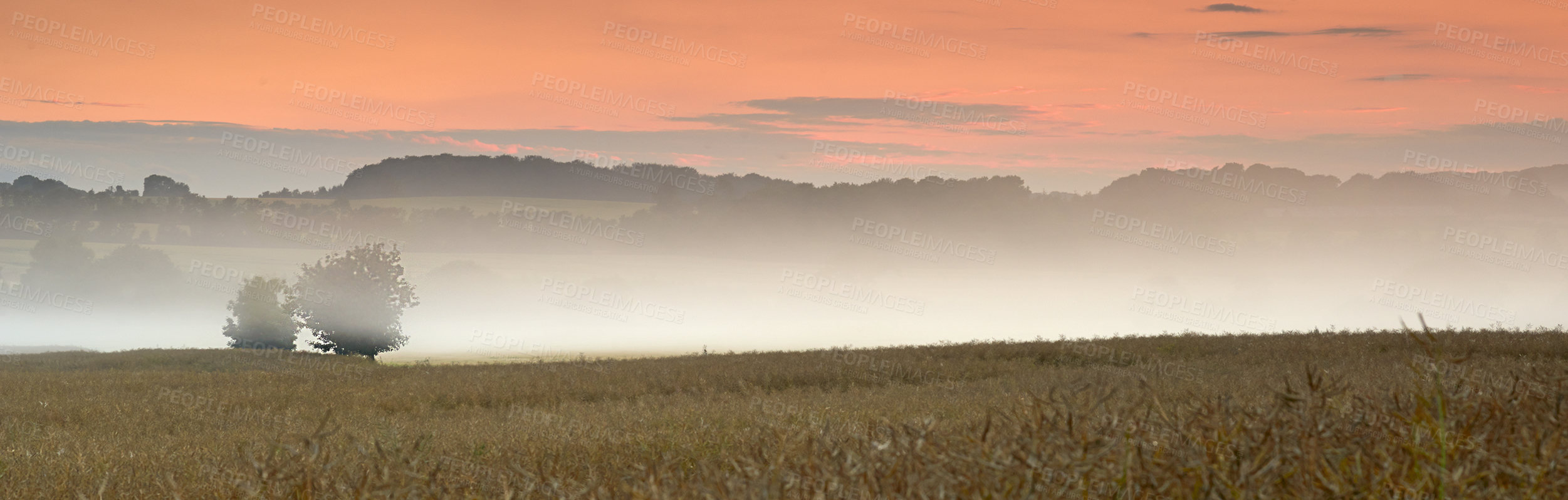 Buy stock photo A photo of a vibrant country field in harvest