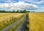 Time for harvest