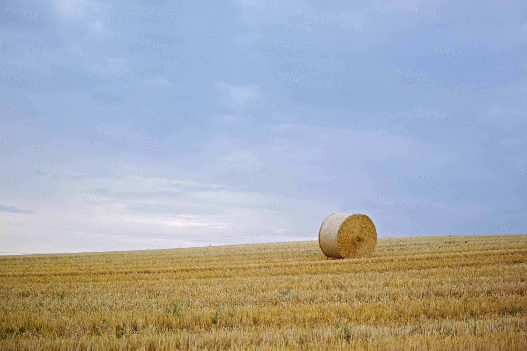 Buy stock photo Grass, bale and stack of hay in landscape of field from harvest of straw in summer on farm with agriculture. Farming, haystack and grazing collection from sustainable growth in countryside pasture 