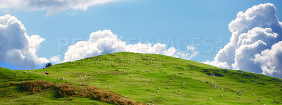 Buy stock photo Blue sky, landscape and hill on farm for nature in field, travel or agriculture with sustainability, growth and eco. Meadow, land or Switzerland countryside with ecosystem, biodiversity and location