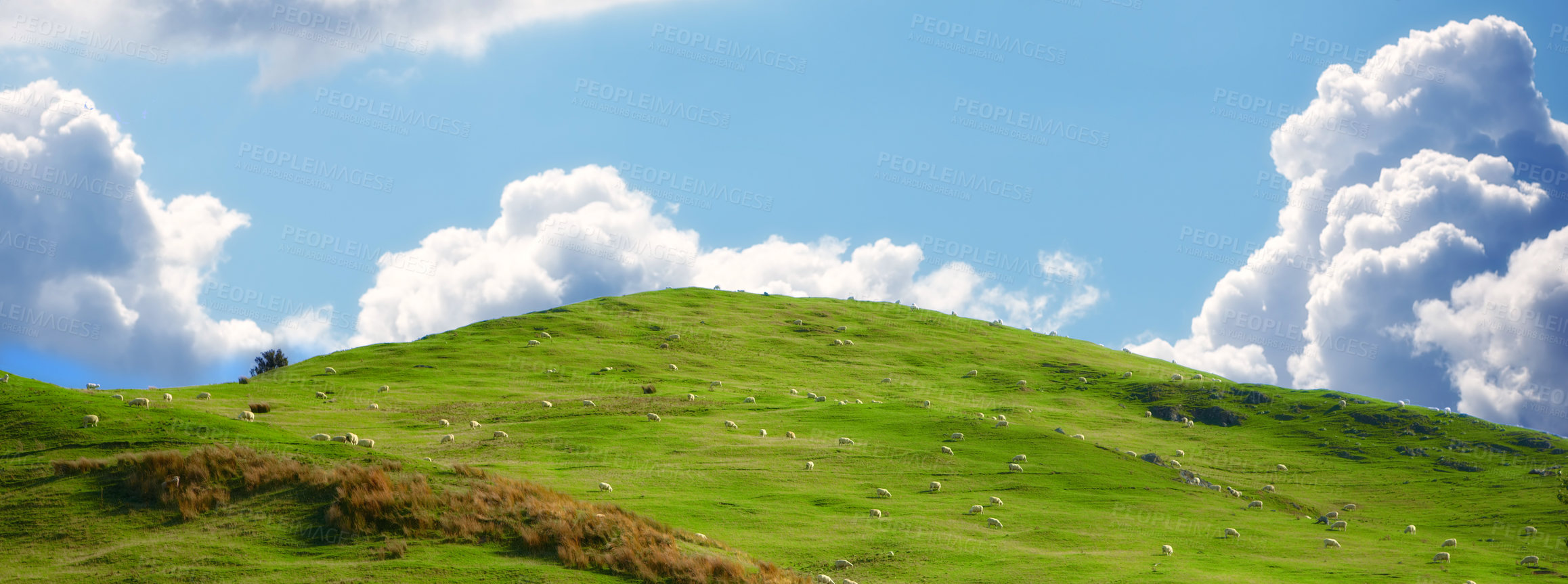 Buy stock photo Blue sky, landscape and hill on farm for nature in field, travel or agriculture with sustainability, growth and eco. Meadow, land or Switzerland countryside with ecosystem, biodiversity and location