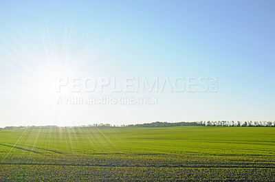 Buy stock photo Sun, landscape and nature for farming with blue sky, field for agriculture with sustainability, growth and eco. Meadow, Switzerland countryside and ecosystem, biodiversity and natural background