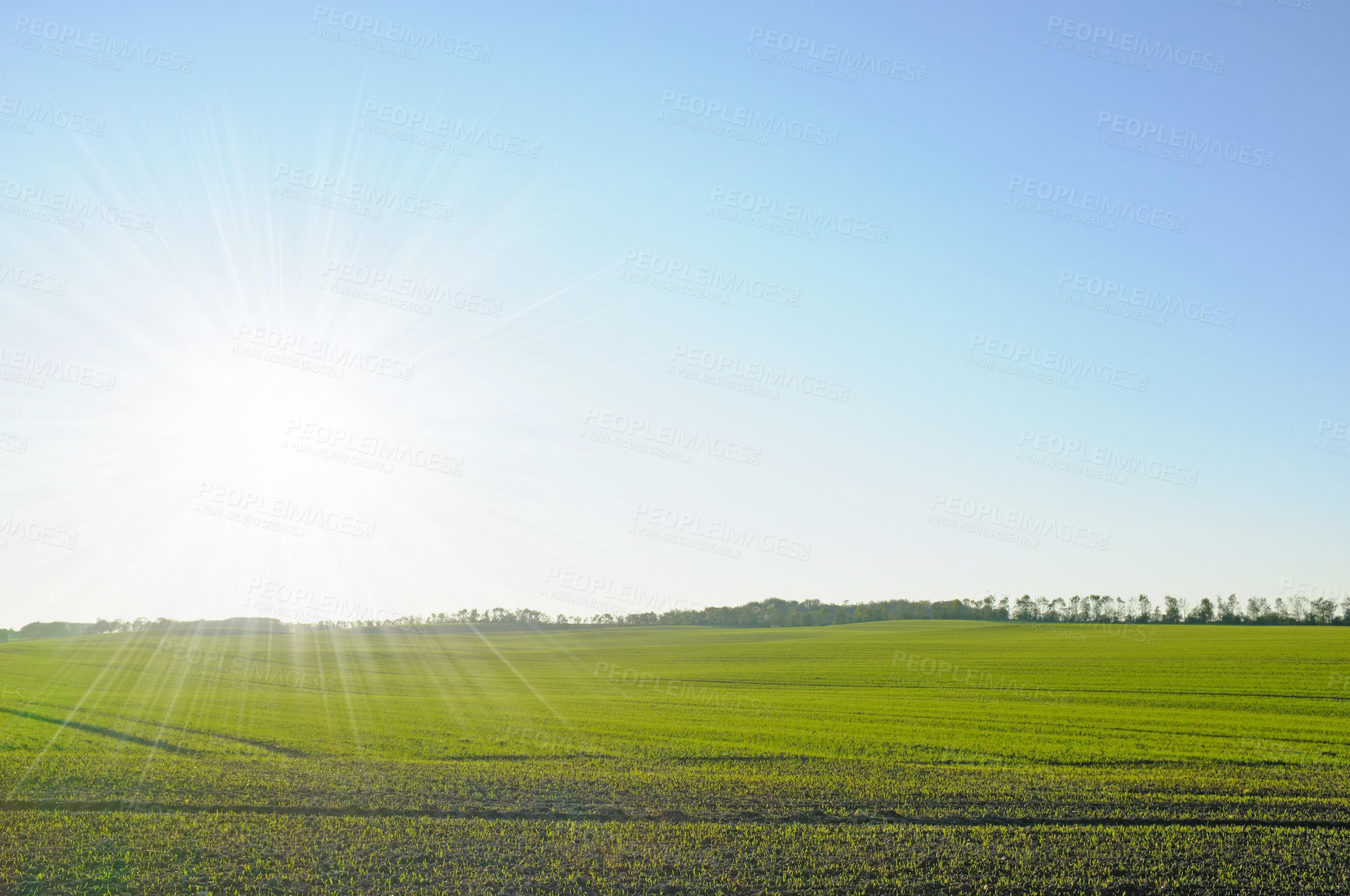 Buy stock photo Sun, landscape and nature for farming with blue sky, field for agriculture with sustainability, growth and eco. Meadow, Switzerland countryside and ecosystem, biodiversity and natural background