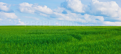 Buy stock photo Farmland in springtime - lots of copy space