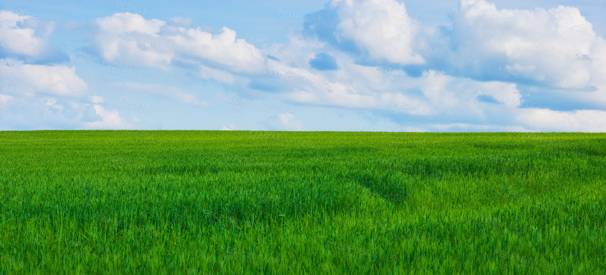 Buy stock photo Farmland in springtime - lots of copy space