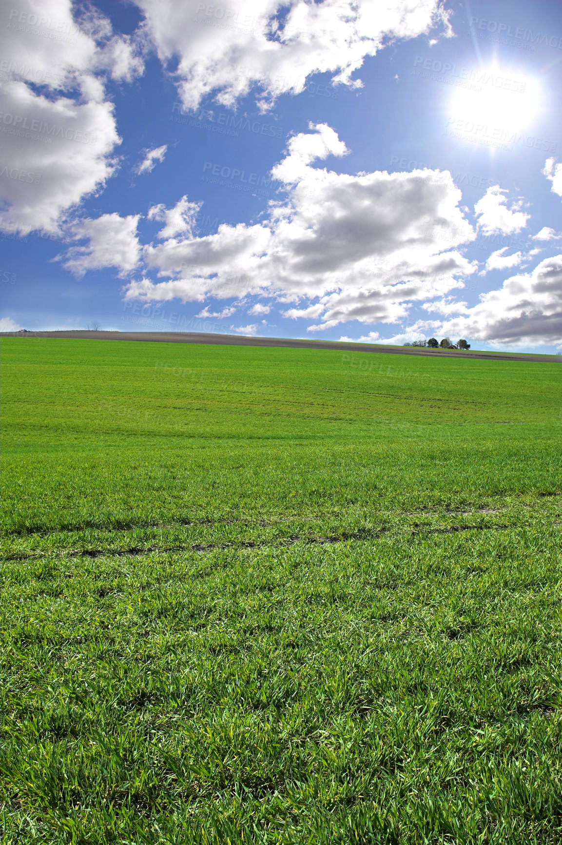 Buy stock photo Environment, clouds and blue sky with landscape of field for farm mockup space, nature and ecology. Plant, grass and horizon with countryside meadow for spring, agriculture and sustainability