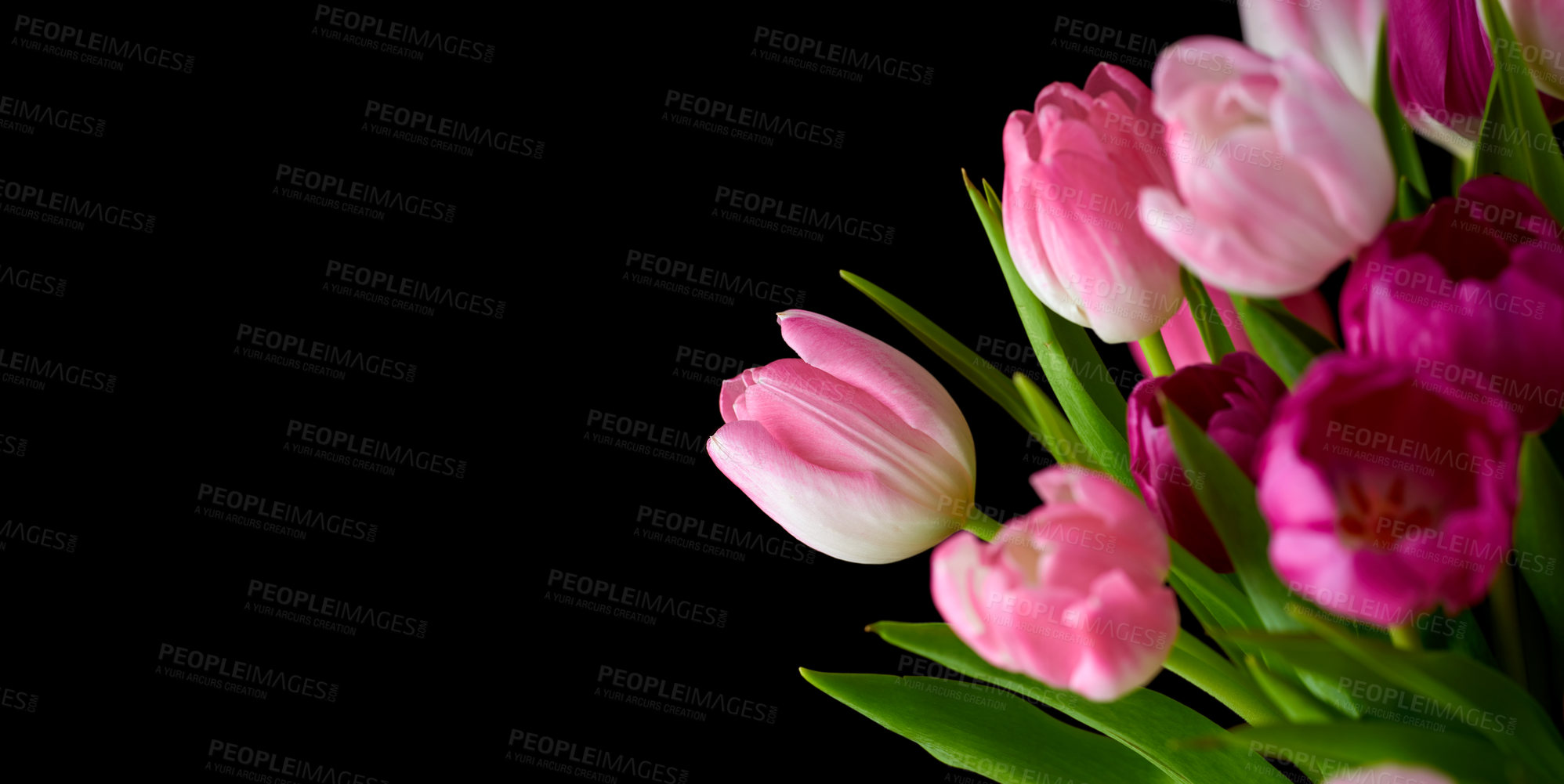 Buy stock photo Bouquet of fresh tulips flowers on a table in empty house. Fresh summer pink flowers symbolising hope, love and growth. Bright flowers as a surprise gift or apology gesture against black copyspace