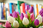 Tulips - springtime beauties