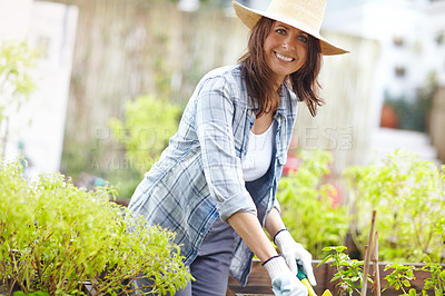 Buy stock photo Portrait of a beautiful woman enjoying spending time in her garden at home