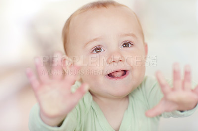 Buy stock photo An adorable little boy pressing against a glass window