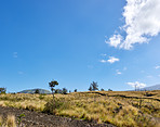 Extinct volcanic craters at Mouna Loa - Hawaii