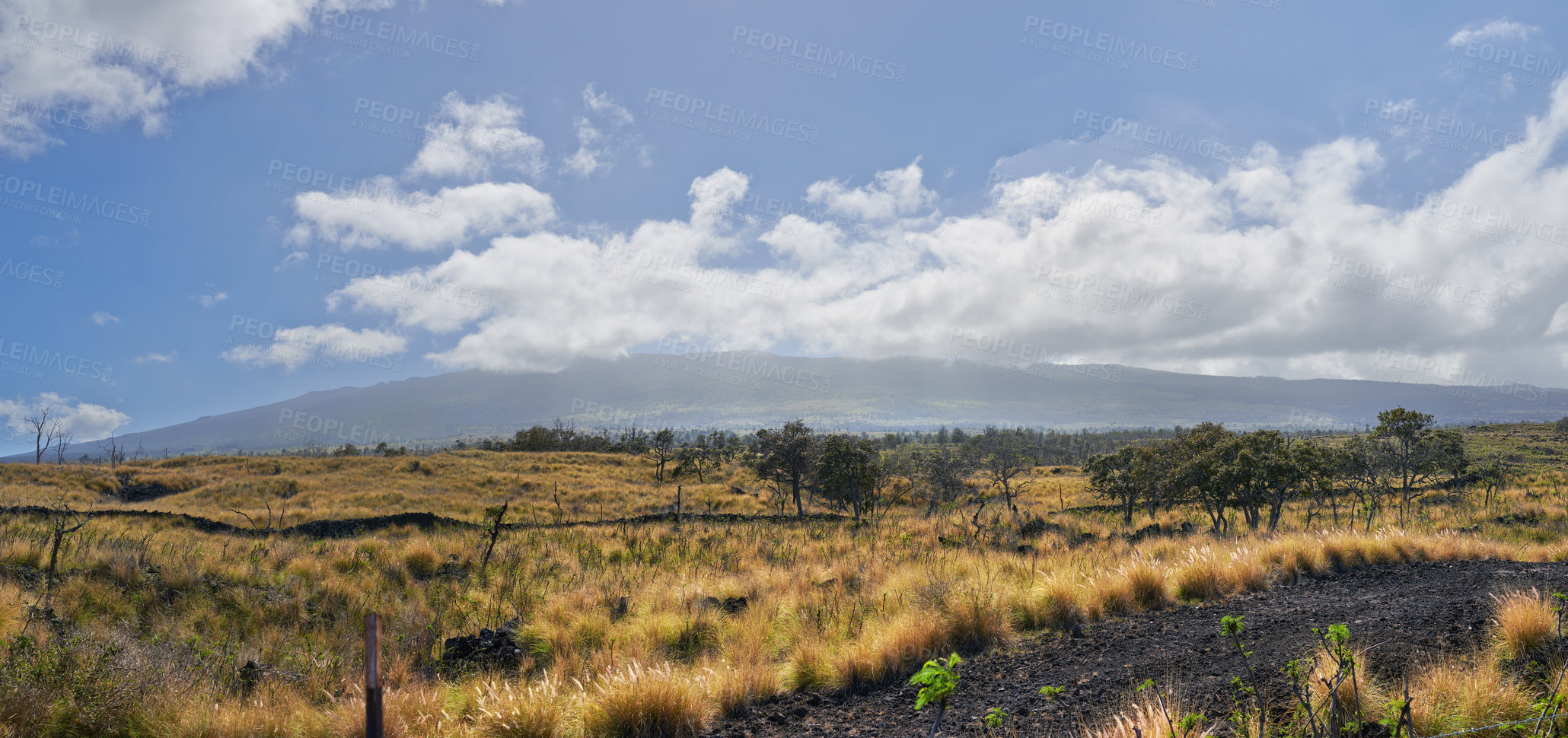 Buy stock photo Landscape of barren and dry land on the Big Island of Hawaii. Scenic view of Mauna Kea, dormant volcano in remote area with copyspace. Vast expanse of nature and blue sky near summit of volcanic land