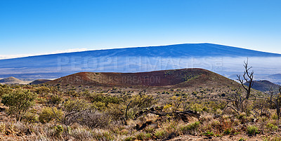 Buy stock photo Landscape of dry land and blue sky with copy space. A dormant volcano in an open uncultivated location. Nature scenery of bushy vegetation on mountain summit of a volcanic land in Big Island, Hawaii