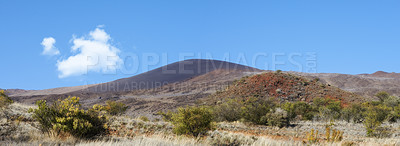 Buy stock photo A hill near the largest volcano with copy space called Mauna Loa in Hawaii. Landscape in the summer with dry grass and green plants. Beautiful scenery on a sunny afternoon and a grassy mountain view