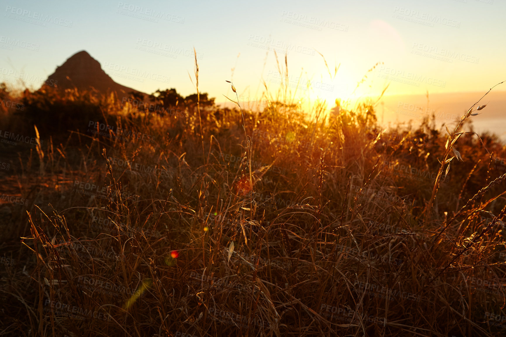 Buy stock photo Outdoor, sustainability and grass with sunset by mountain for summer, Earth and travel destination. Environment, background with scenery by plants in nature for trip, natural and view of location