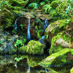 Small waterfalls and rivers in the jungle