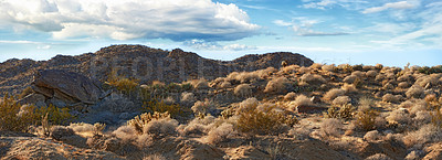 Buy stock photo Desert, landscape and sunshine with plants, sky and summer with tourism weather and vacation. Empty, travel and wildlife with peace, dust and environment with holiday, mountain and field with clouds