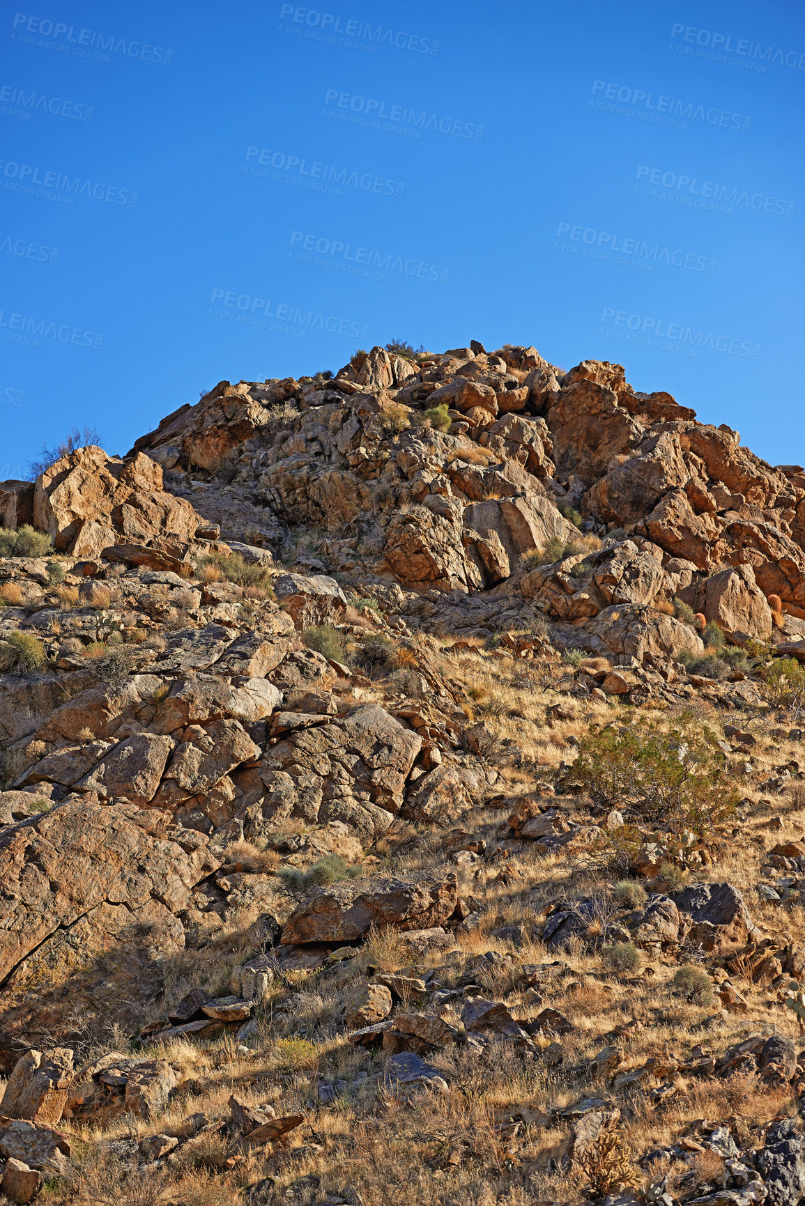 Buy stock photo Desert, landscape and nature with plants, blue sky and peace with summer, hill and rocky. Empty, flowers and wildlife with dust or wallpaper with cactus, mountain and travel with holiday or adventure