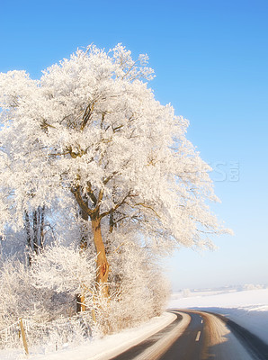 Buy stock photo Wallpaper, trees and road with snow at forest in winter, cold weather and Christmas season in Germany. Countryside, freezing and nature with climate change in woods with ice for travel and holiday