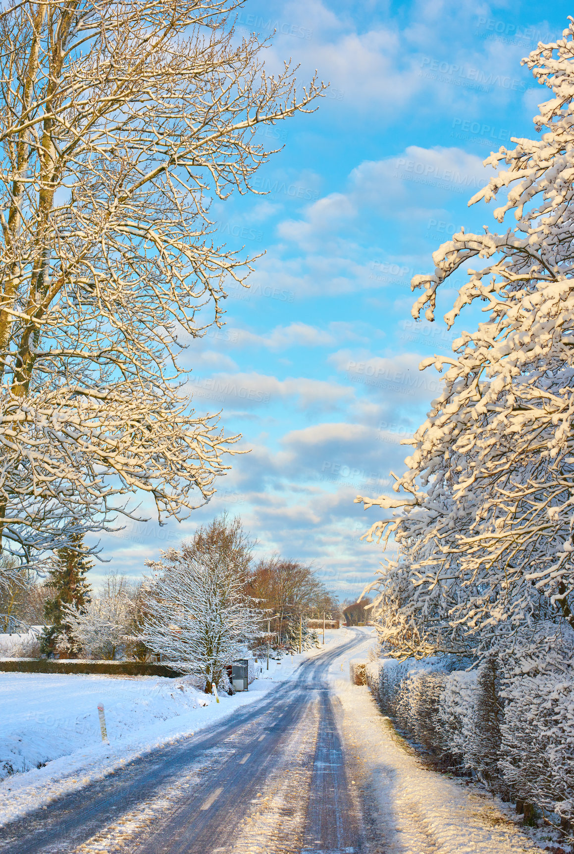 Buy stock photo Wallpaper, trees and street with snow at forest in winter, cold weather and Christmas season in Germany. Countryside, freezing and nature or environment in woods with ice for travel and holiday