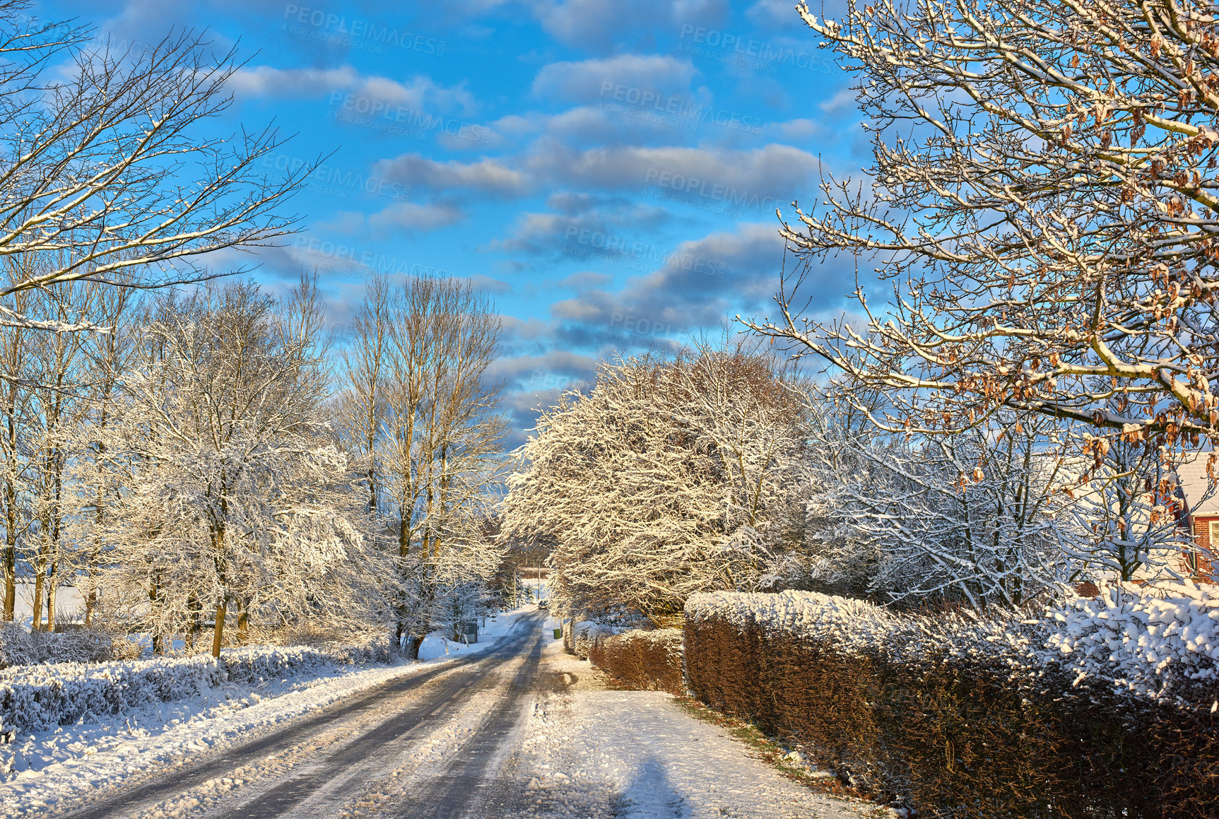 Buy stock photo Wallpaper, trees and street with snow at countryside in winter, cold weather and Christmas season in Germany. Rural, freezing and nature with climate change in woods with ice for travel and holiday