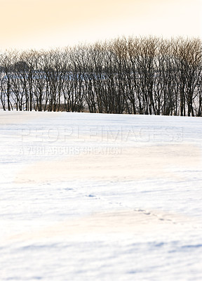 Buy stock photo Snow, countryside and trees in winter with sunset, background and scenery in nature. Winter, cold and travel for holiday, trip and vacation in mountain of Switzerland for adventure in national park