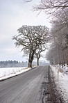 Winter in Denmark