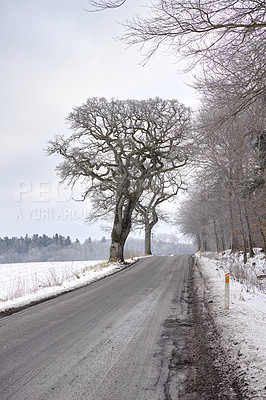 Buy stock photo Winter, trees and snow outdoor on street, countryside or landscape with sky in Sweden. Environment, road and field with ice in woods in nature on highway for travel, holiday or vacation on background