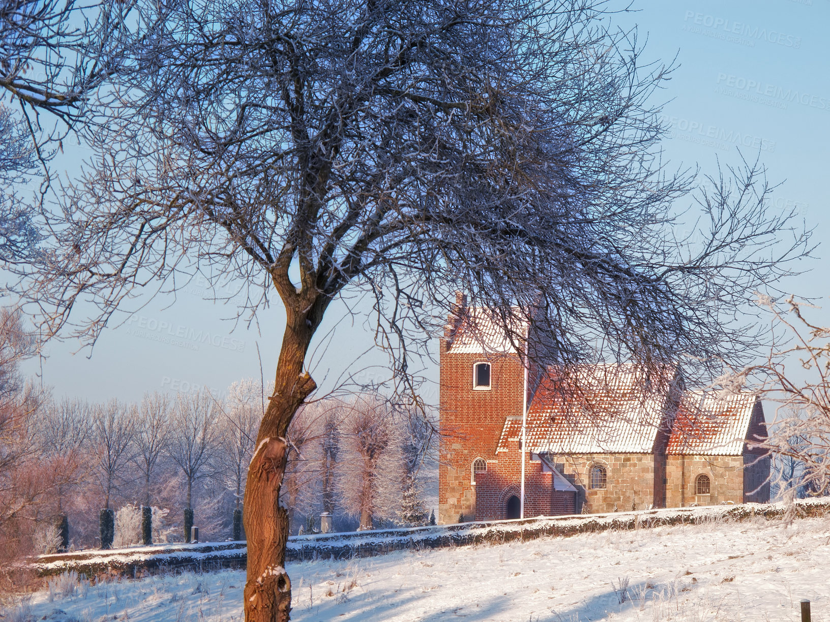 Buy stock photo Nature, snow and trees in landscape, house and clouds in sky of environment, calm and space in forest. Morning, woods and winter in Canada, branches and texture of plants, earth and ice on land