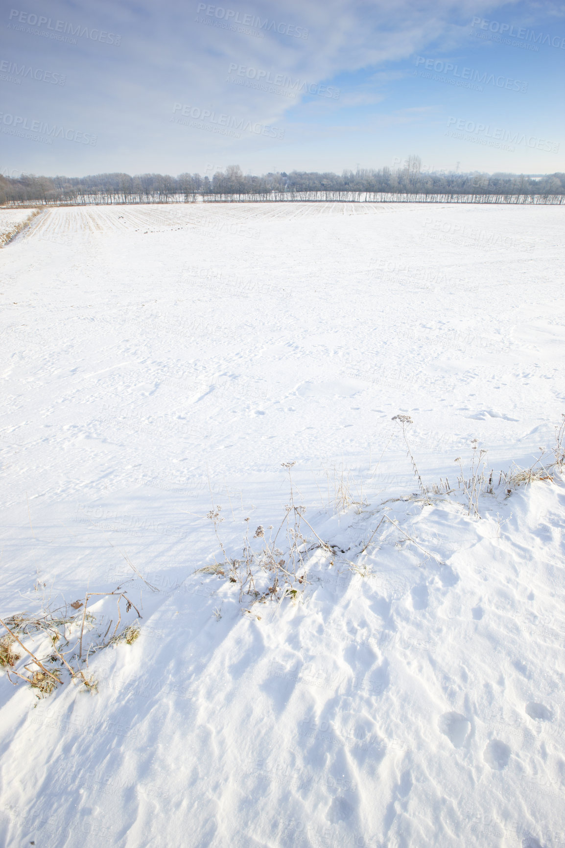 Buy stock photo Snow, countryside and winter with trees, blue sky and background with sunshine in nature. Environment, cold and travel for holiday, trip and vacation in Switzerland for adventure or hike in park 