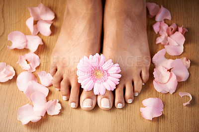 Buy stock photo Feet, flower and spa pedicure with nails beauty of woman in studio for floral luxury skincare. Toes of wellness and beauty model for self care, cleaning and floral dermatology cosmetics in studio