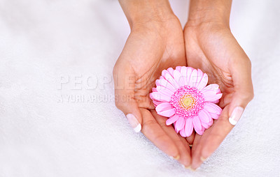 Buy stock photo Beauty, flower and spa with hands of woman with mockup for skincare, wellness or natural cosmetics. Spring, peace and floral with girl holding fresh daisy in salon for treatment, blossom or self care