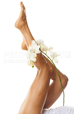 Buy stock photo Legs, foot and flower with woman in beauty mockup, natural cosmetics, skin with skincare isolated on white background. Pedicure, epilation and waxing for body hair removal, glow and dermatology