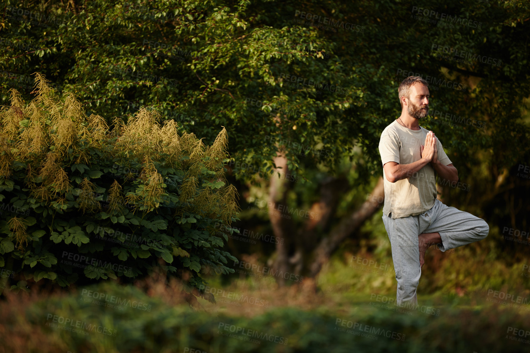 Buy stock photo Shot of a mature man doing a standing yoga pose in nature