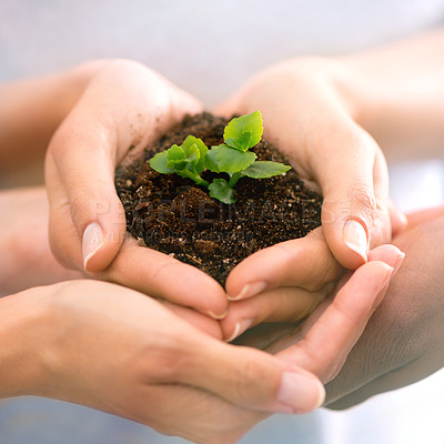 Buy stock photo Group, sand and plant with people, hands and agriculture with sustainability and spring. Closeup, soil and team with climate change and environmental with nature and earth with leaf, help and support