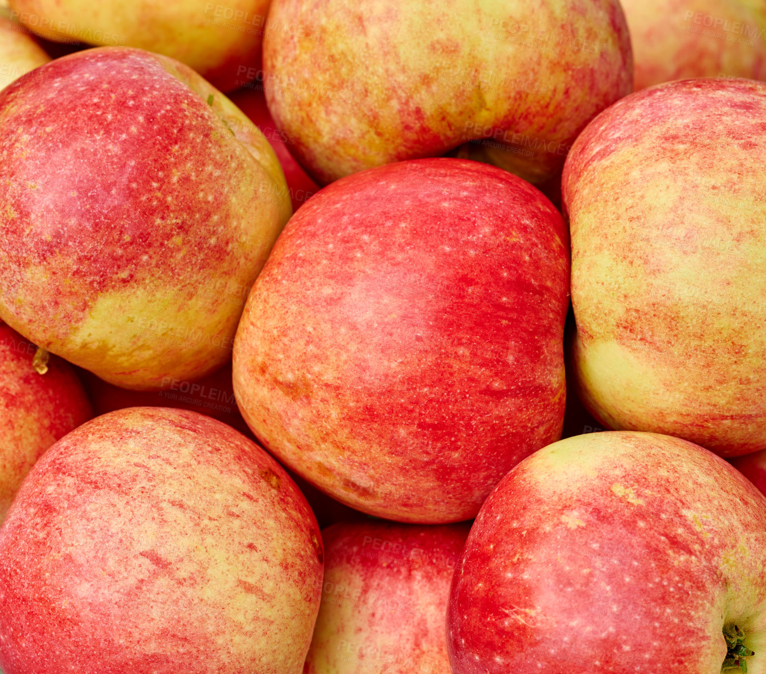 Buy stock photo Agriculture, farming and apple harvest for organic nutrition closeup from above in spring season. Food, fresh and produce with red fruit in garden or orchard for natural diet, nutrition or wellness