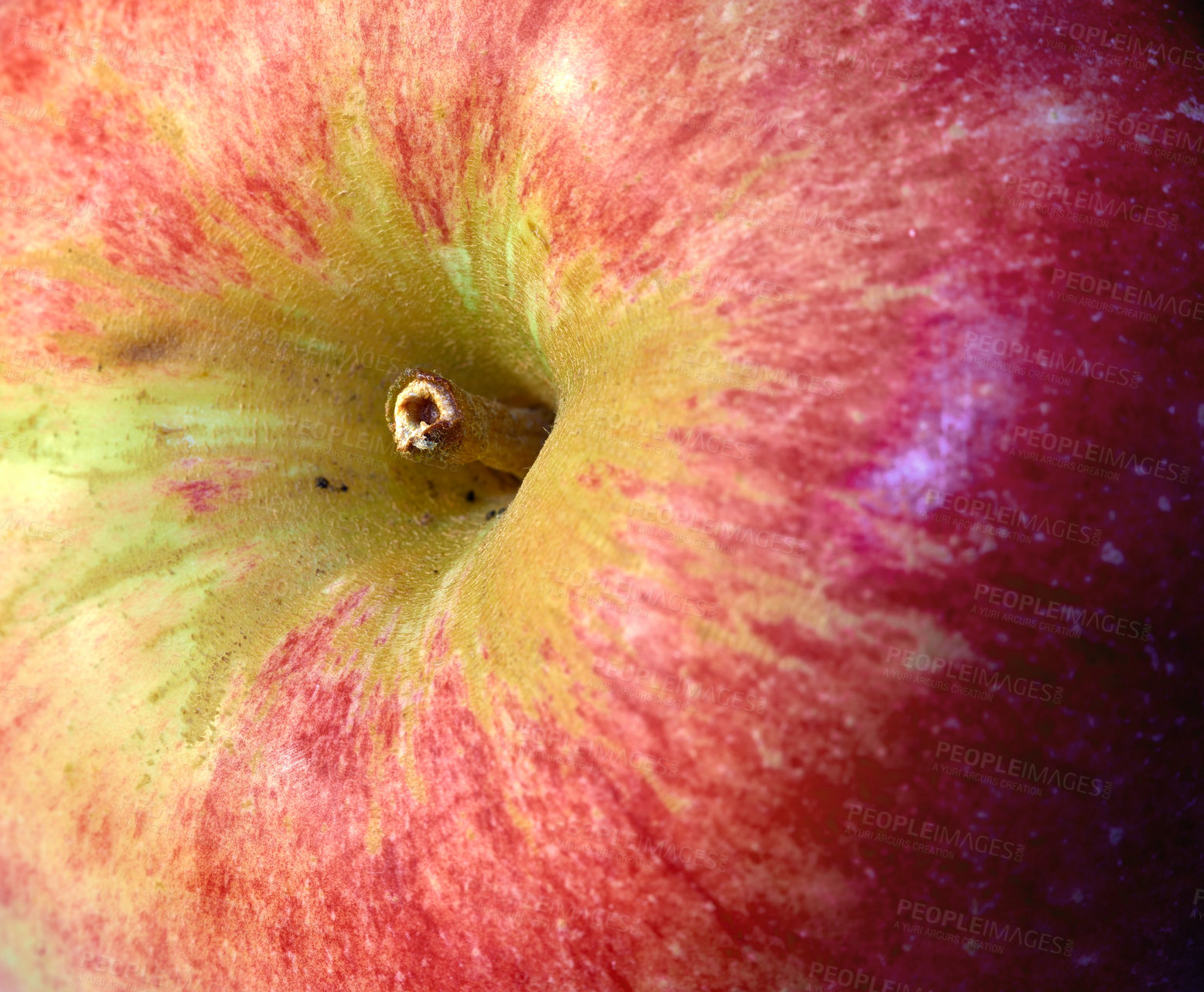 Buy stock photo Closeup of red apple, nutrition and diet with health, wellness and organic vitamins and snack. Fruit, plant and harvest with botanical produce, horticulture and spring vegetation for agriculture