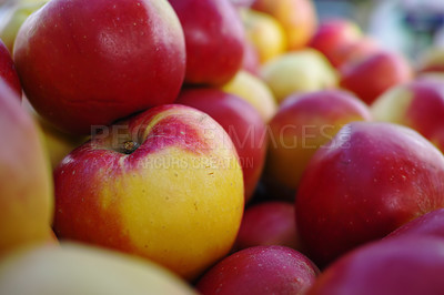 Buy stock photo Healthy, nutrition and natural apples from farm, closeup and fruit for vitamins, eating and harvest. Summer, fall and green in rural environment in countryside of garden, orchard and fiber for food