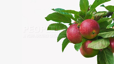 Buy stock photo An apple per day keeps the doctor away