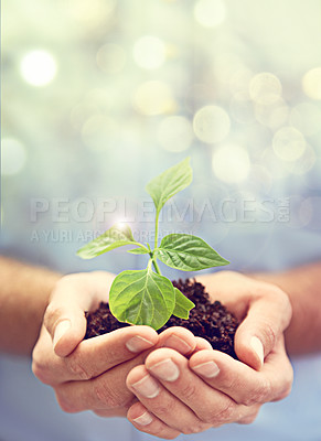 Buy stock photo Soil, hands of person and plants on bokeh background to support earth, sustainability and mockup. Closeup, nature and growth of leaf, sand and green future of hope, accountability and climate change