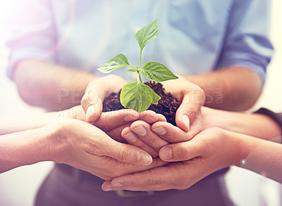 Buy stock photo A cropped image of a hands holding a plant growing in earth