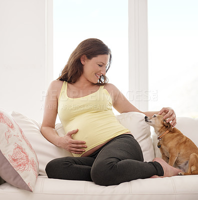 Buy stock photo Shot of a young pregnant woman sitting on her sofa with her dog next to her