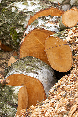 Buy stock photo Wood, pile and outdoor with logs in nature for fuel, heat and material for construction in forest. Stack, tree trunk and carpentry supplier with pattern, textures or sustainability in timber industry