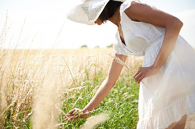 Buy stock photo Sunshine, wheat field and woman with nature, summer and environment with break, weekend and landscape. Person, girl and traveller with freedom, exploring and plants with ecology, spring and grass