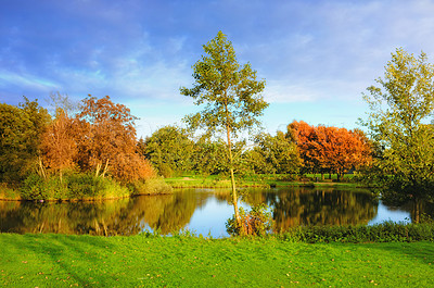 Buy stock photo Spring, river and nature with trees, forest and scenic view with blue sky in Japan countryside. Outdoor, environment or aesthetic landscape with grass, plants or vibrant color with clouds in morning