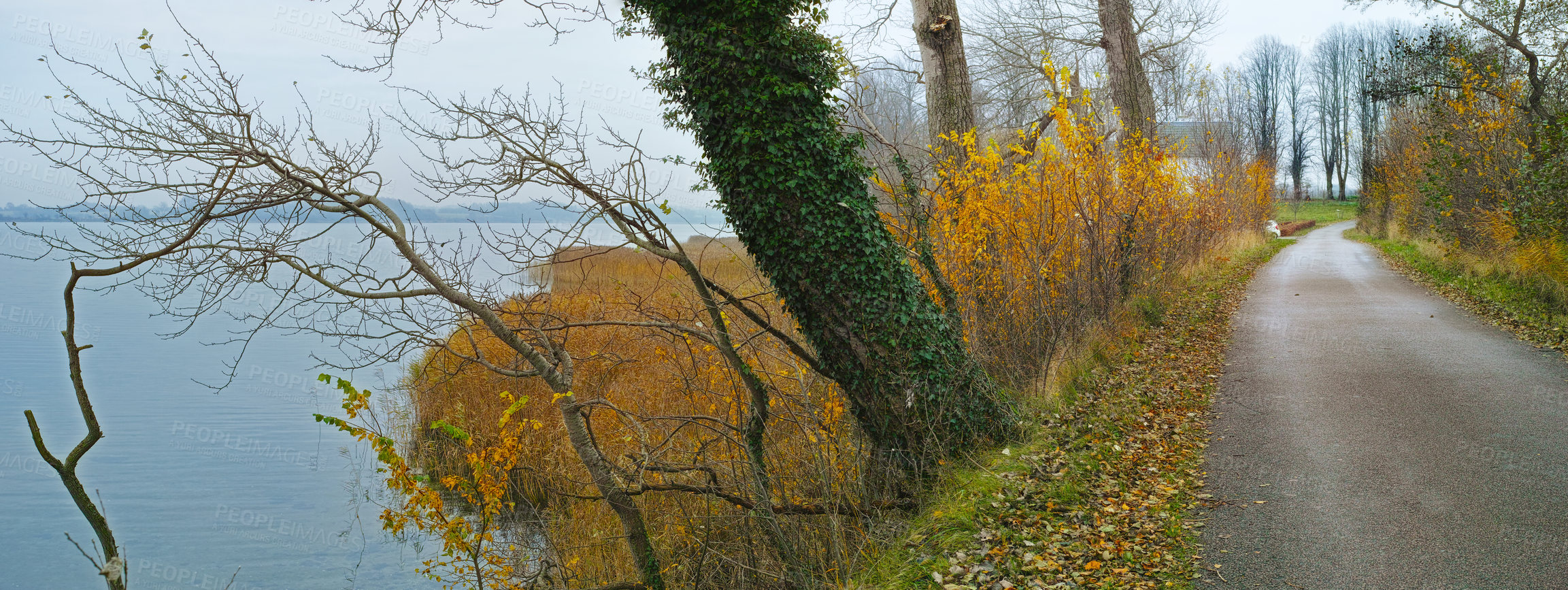 Buy stock photo Nature, road and countryside in autumn leaves for exploration travel, journey or adventure. Empty, scenic landscape and trees with lake for foliage path, morning walk or conservation in Scotland